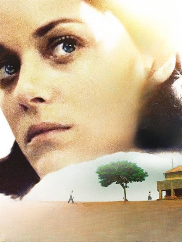 Sevgi illüziyası (2016)