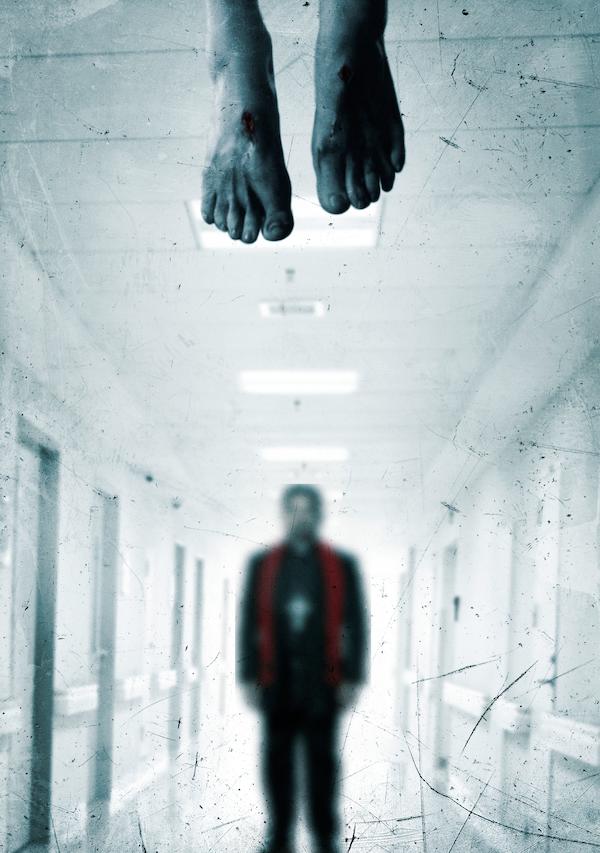 Vatikan qeydləri (2015)