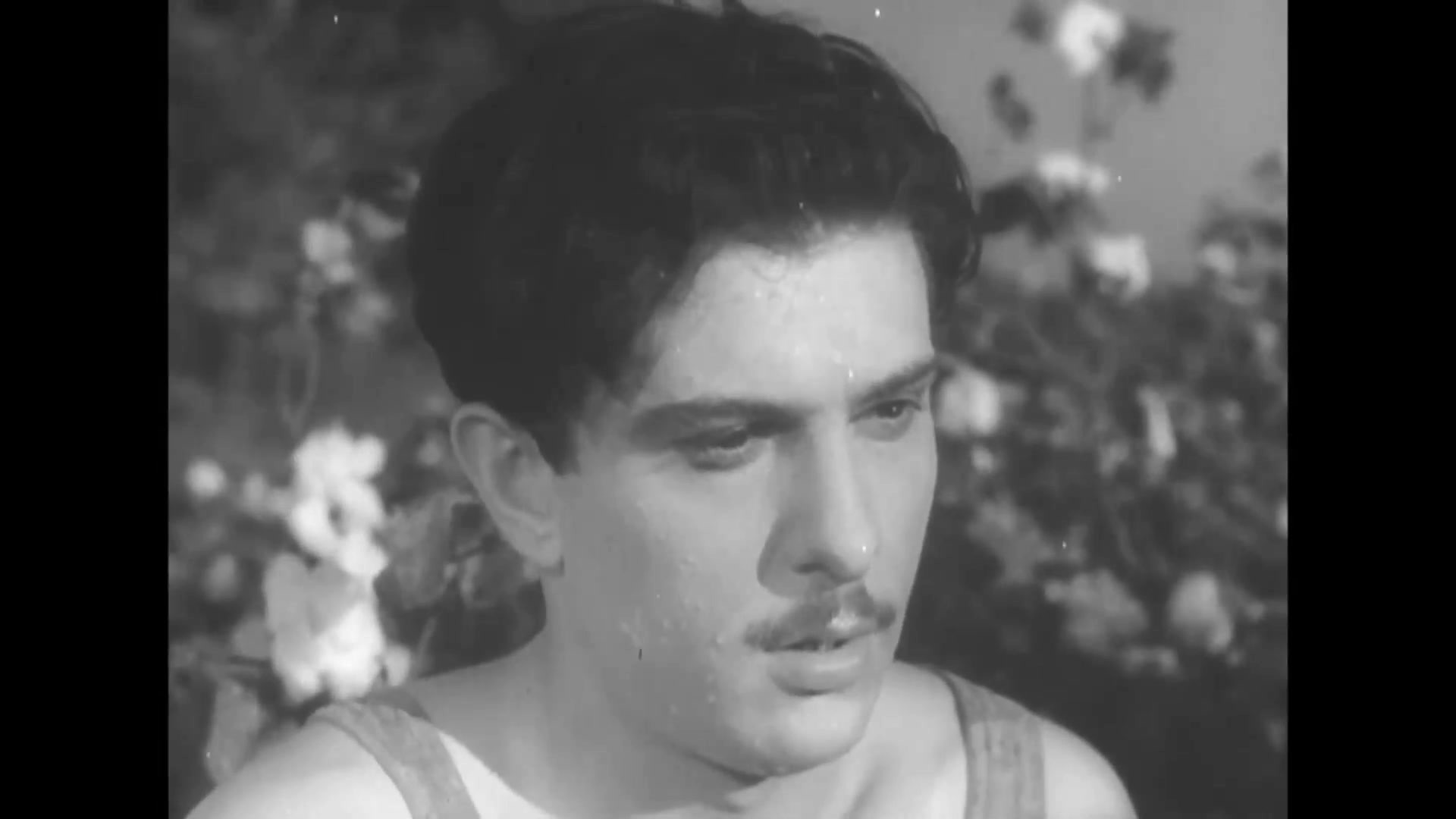 Görüş (1955)